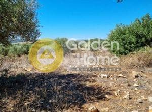 Αγροτεμάχιο στην Βένιο Δασκαλειού, Κερατέα