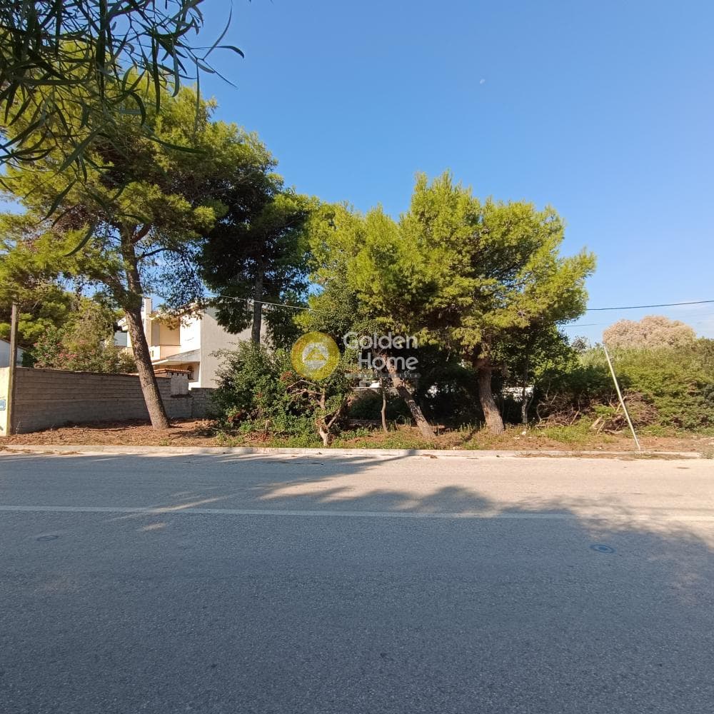 Οικόπεδο στην Πρωτέας, Ραφήνα — Φωτογραφία 3 από 3