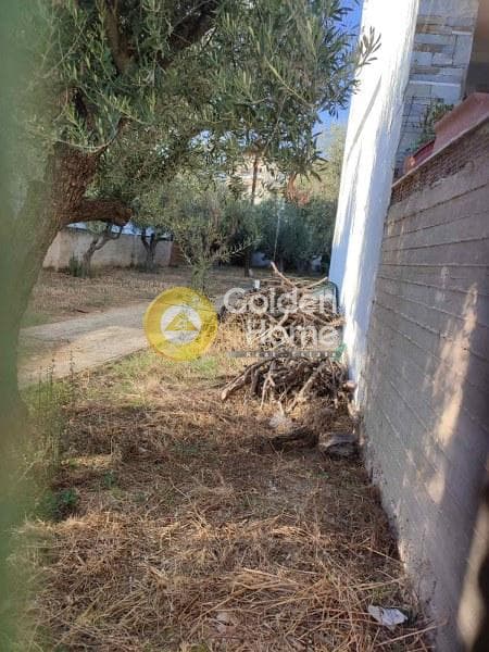 Building Plot in Megala Sxoinia A, Acharnes — Photo 1 of 3