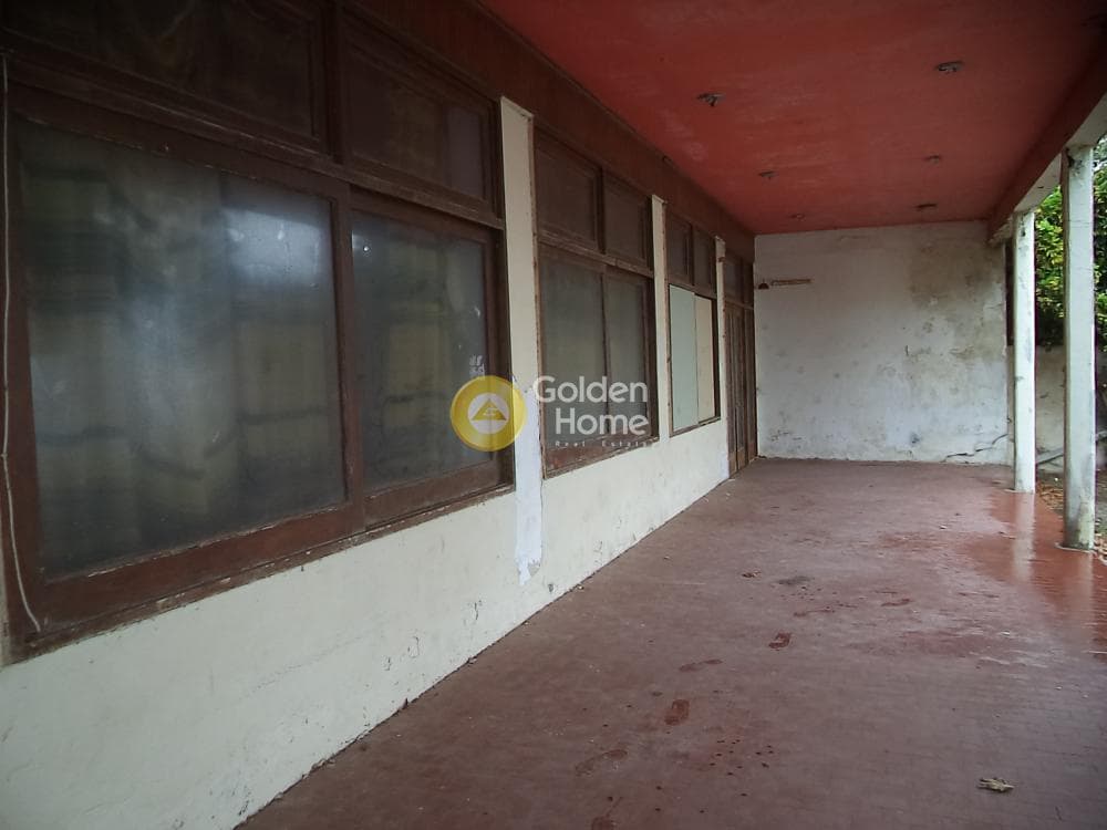 Ξενοδοχείο στην Λόγγος, Ερίνεο — Φωτογραφία 7 από 15