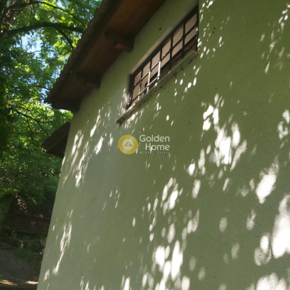 House in Kato Zachlorou, Kalavrita — Photo 36 of 55