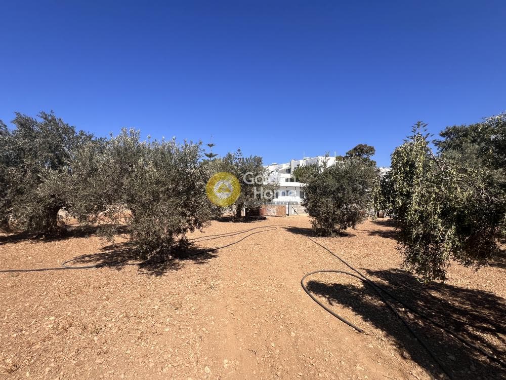 Οικόπεδο στην Αλυκή, Πάρος — Φωτογραφία 9 από 9