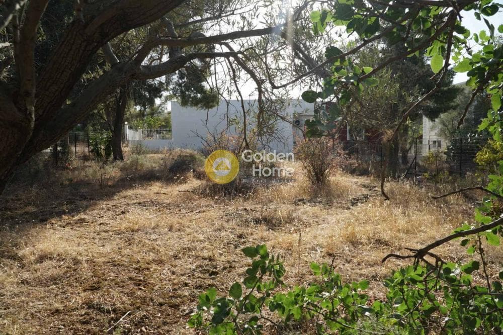 Building Plot in Selinia, Salamina — Photo 2 of 5