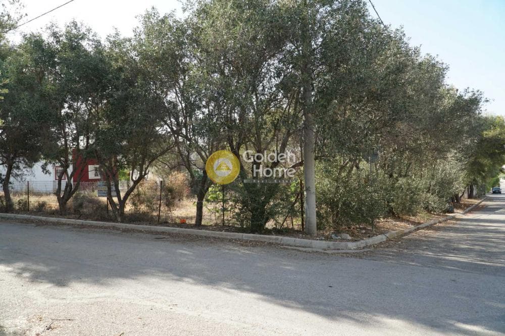 Building Plot in Selinia, Salamina — Photo 5 of 5