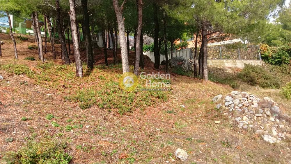 Building Plot in Megala Sxoinia A, Acharnes — Photo 5 of 38