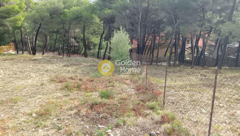 Building Plot in Megala Sxoinia A, Acharnes — Photo 6 of 38