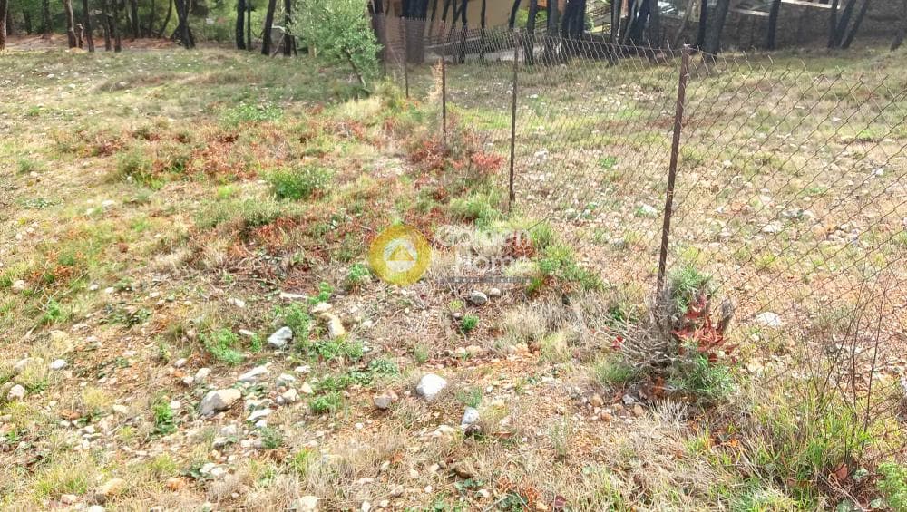 Building Plot in Megala Sxoinia A, Acharnes — Photo 10 of 38