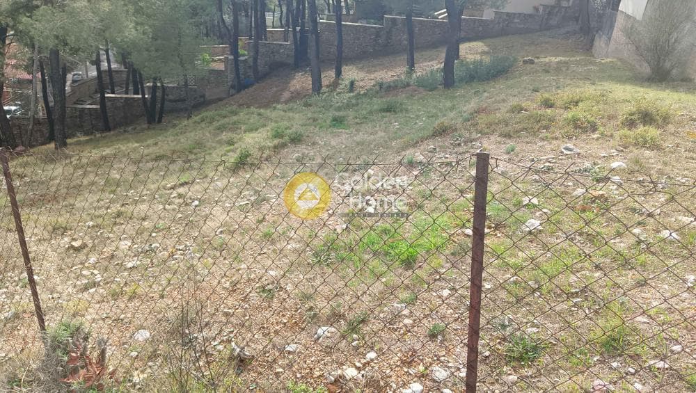 Building Plot in Megala Sxoinia A, Acharnes — Photo 11 of 38