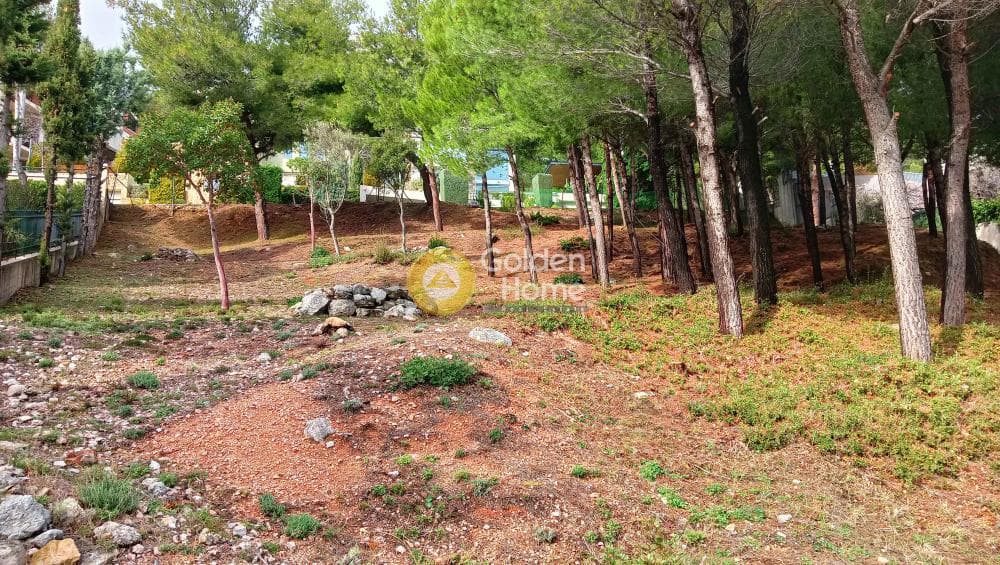 Building Plot in Megala Sxoinia A, Acharnes — Photo 1 of 38