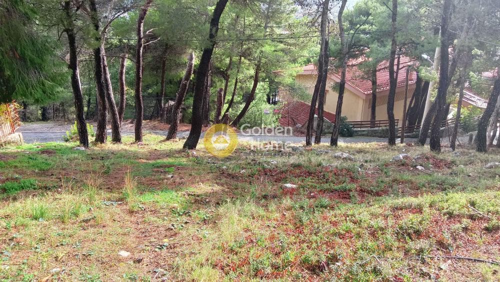 Building Plot in Megala Sxoinia A, Acharnes — Photo 13 of 38