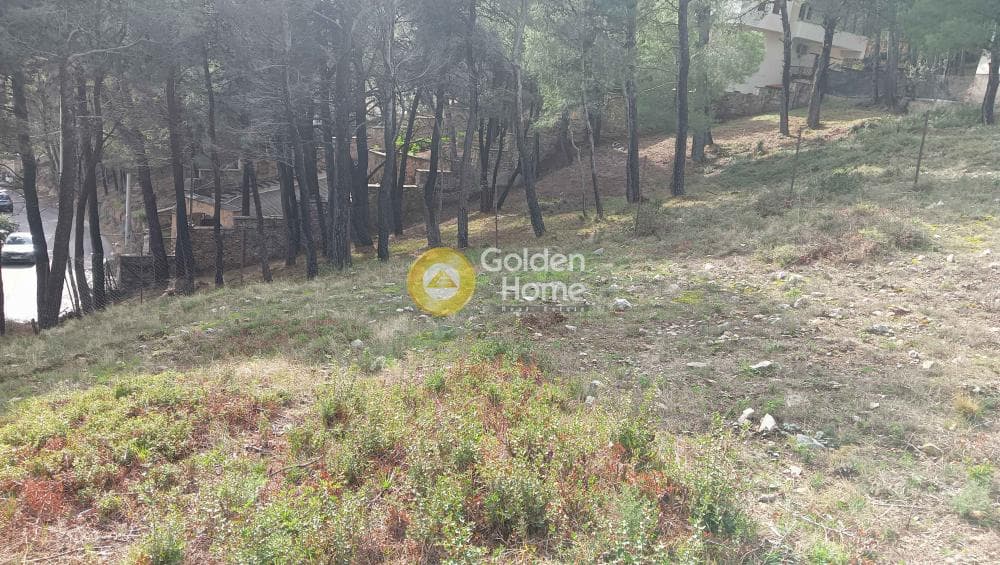 Building Plot in Megala Sxoinia A, Acharnes — Photo 14 of 38