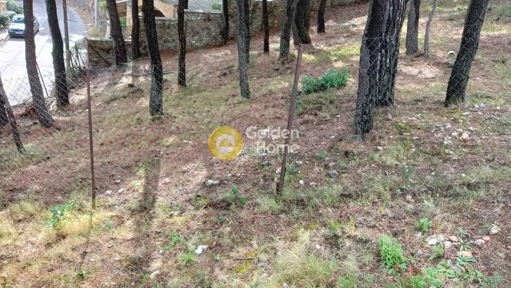 Building Plot in Megala Sxoinia A, Acharnes — Photo 15 of 38