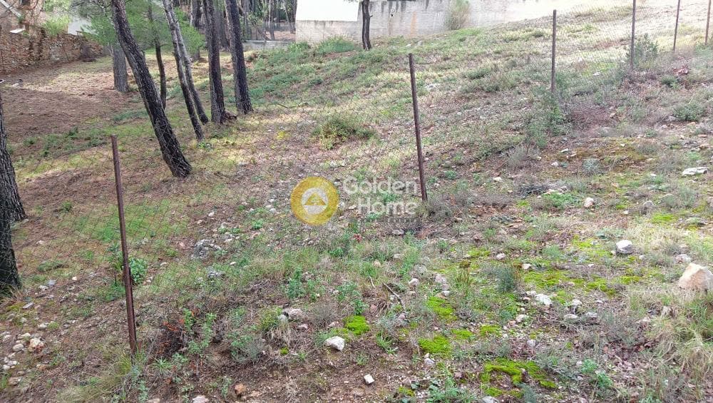 Building Plot in Megala Sxoinia A, Acharnes — Photo 17 of 38