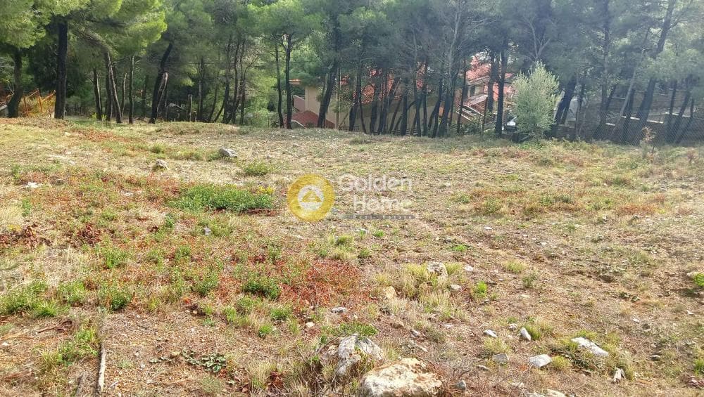 Building Plot in Megala Sxoinia A, Acharnes — Photo 18 of 38