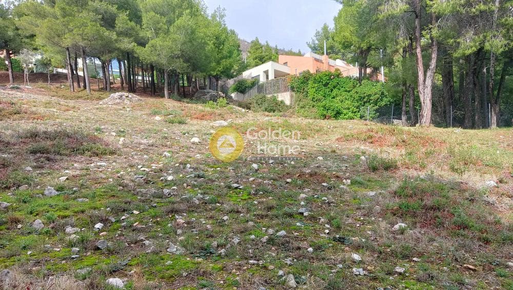 Building Plot in Megala Sxoinia A, Acharnes — Photo 8 of 38