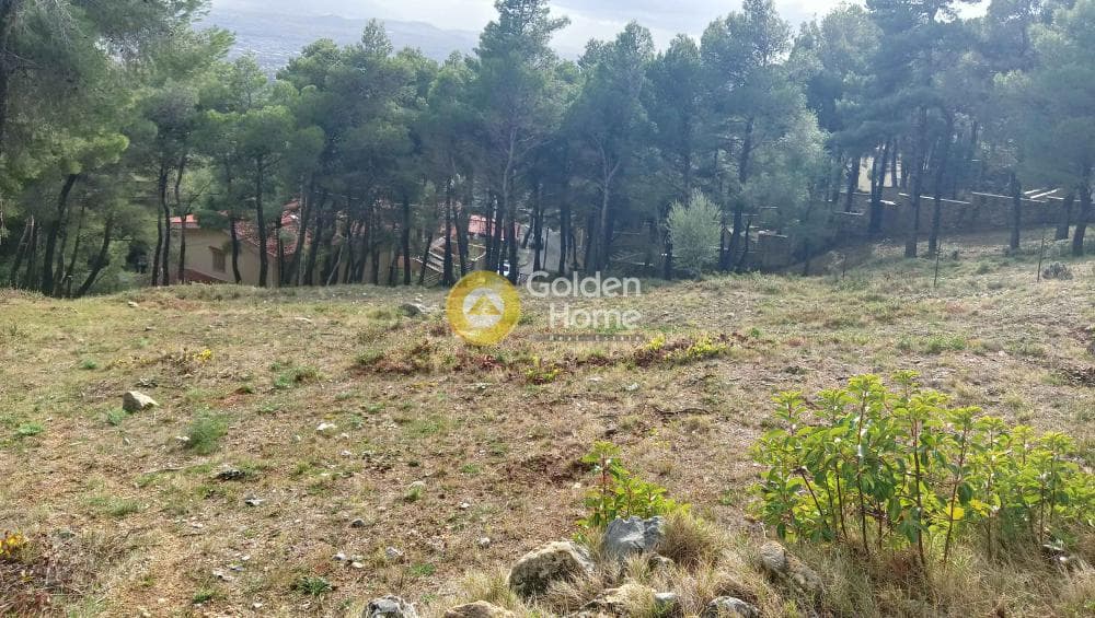 Building Plot in Megala Sxoinia A, Acharnes — Photo 9 of 38