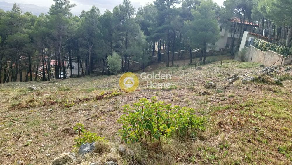 Building Plot in Megala Sxoinia A, Acharnes — Photo 12 of 38