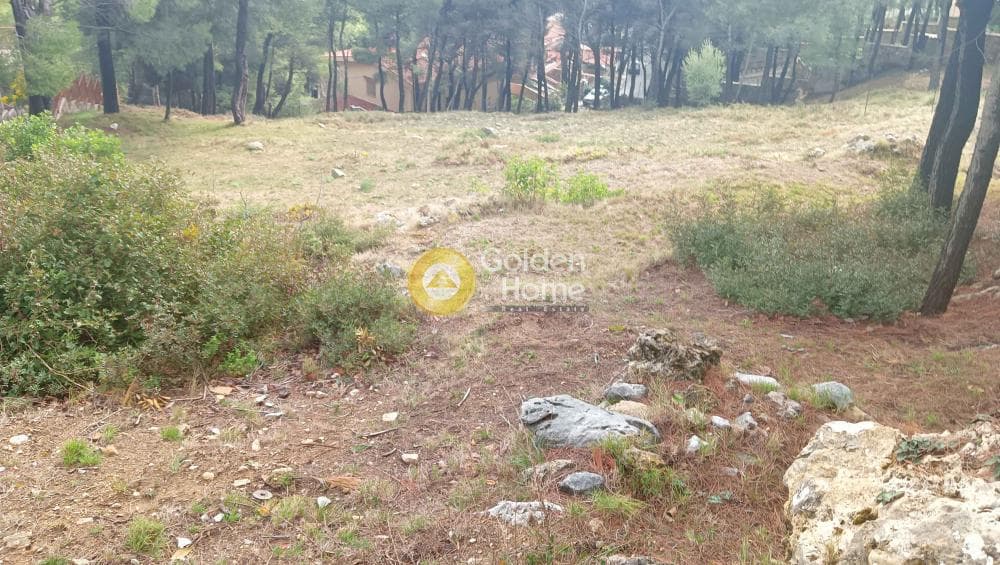 Building Plot in Megala Sxoinia A, Acharnes — Photo 21 of 38