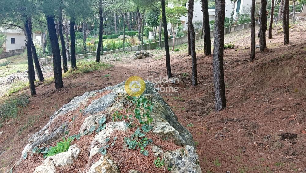 Building Plot in Megala Sxoinia A, Acharnes — Photo 22 of 38