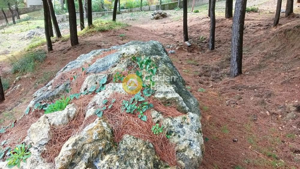 Building Plot in Megala Sxoinia A, Acharnes — Photo 23 of 38