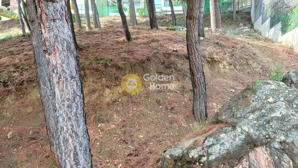 Building Plot in Megala Sxoinia A, Acharnes — Photo 24 of 38