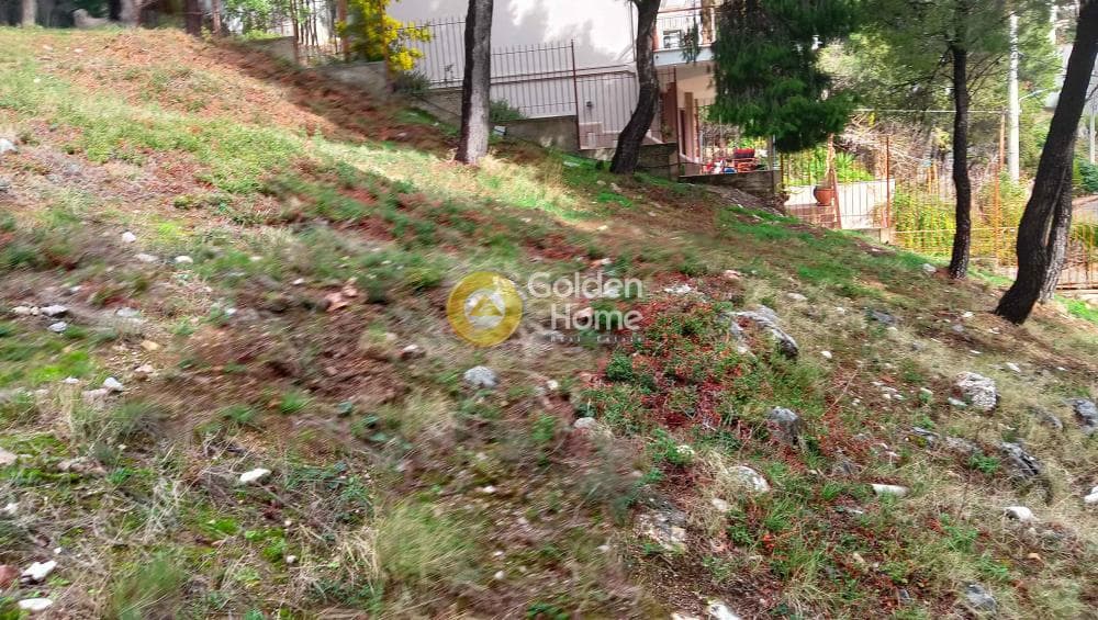 Building Plot in Megala Sxoinia A, Acharnes — Photo 25 of 38
