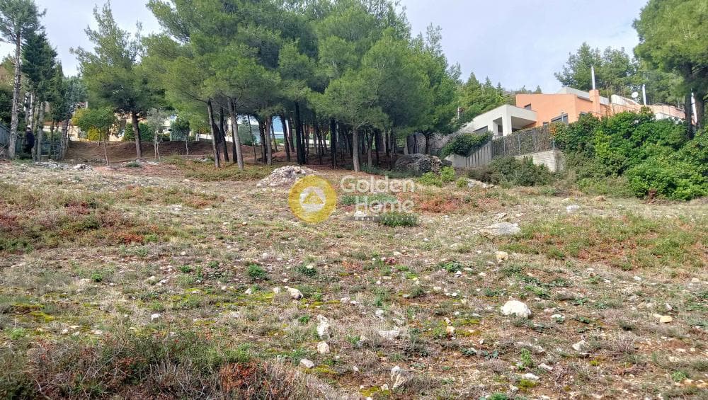 Building Plot in Megala Sxoinia A, Acharnes — Photo 2 of 38