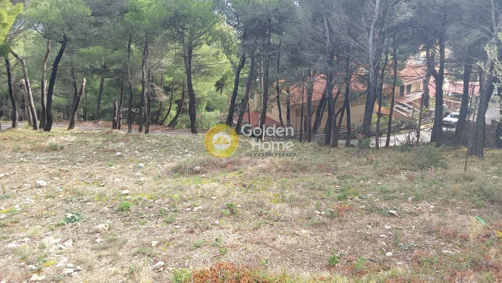 Building Plot in Megala Sxoinia A, Acharnes — Photo 26 of 38