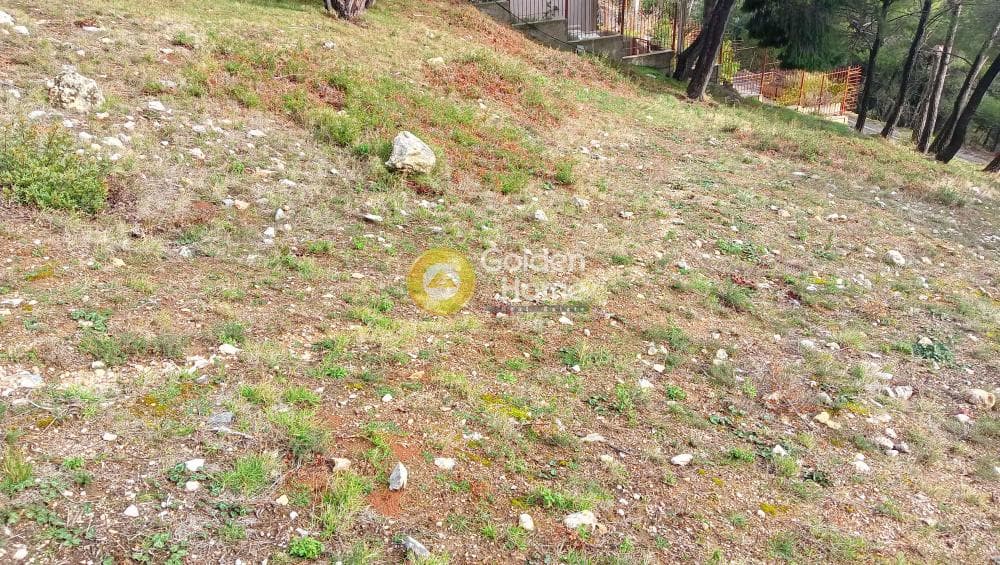 Building Plot in Megala Sxoinia A, Acharnes — Photo 27 of 38