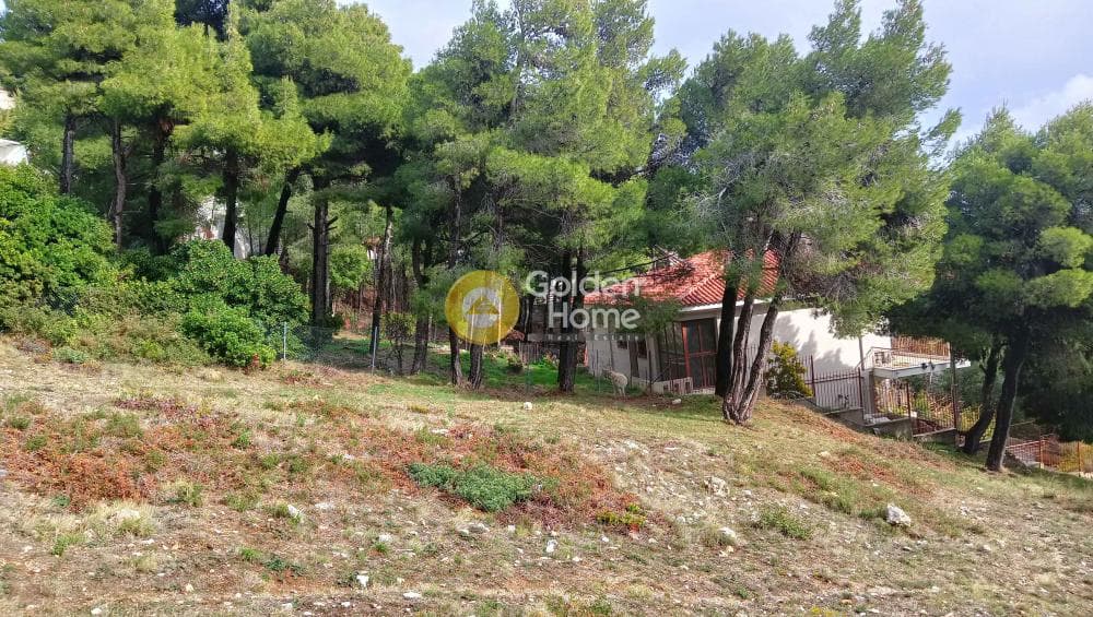 Building Plot in Megala Sxoinia A, Acharnes — Photo 29 of 38