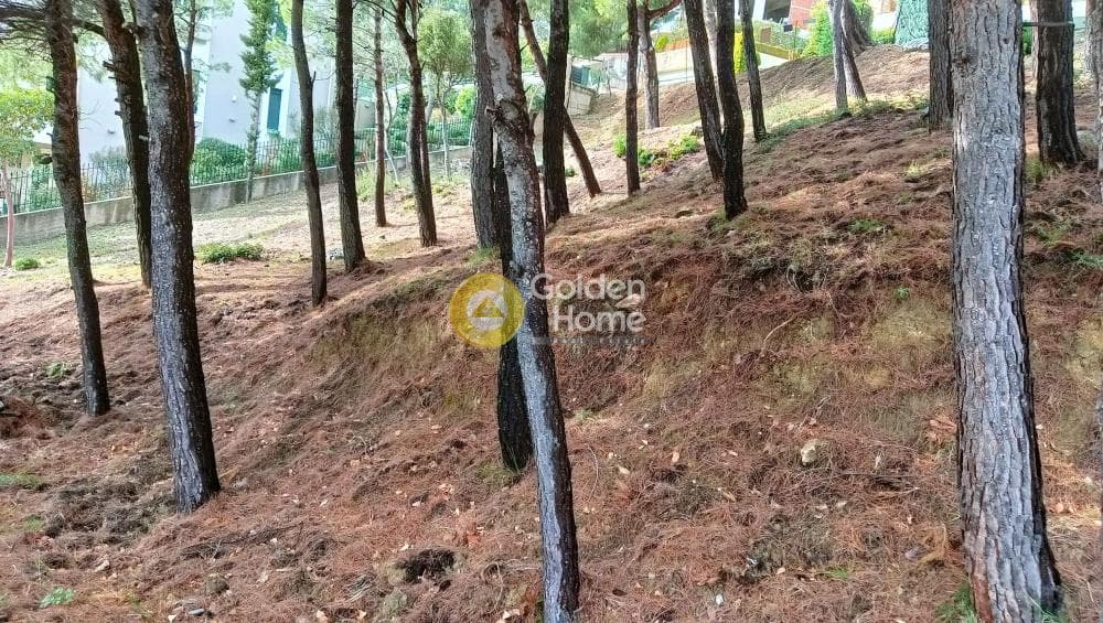 Building Plot in Megala Sxoinia A, Acharnes — Photo 32 of 38