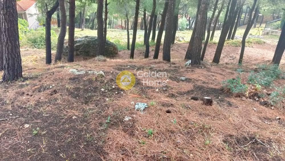 Building Plot in Megala Sxoinia A, Acharnes — Photo 33 of 38