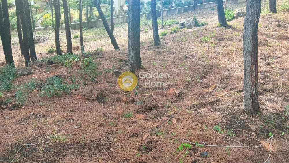 Building Plot in Megala Sxoinia A, Acharnes — Photo 34 of 38