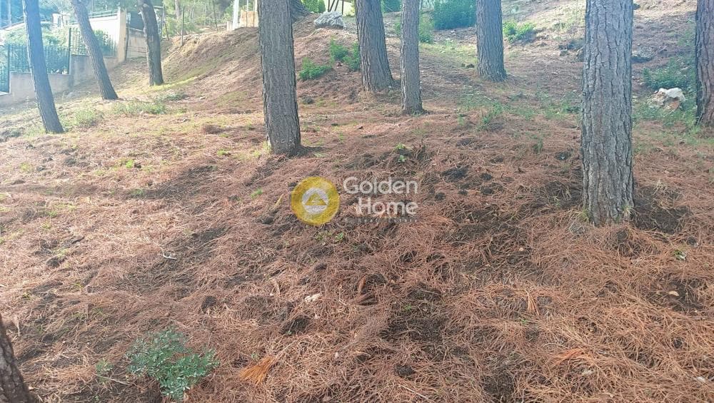 Building Plot in Megala Sxoinia A, Acharnes — Photo 35 of 38