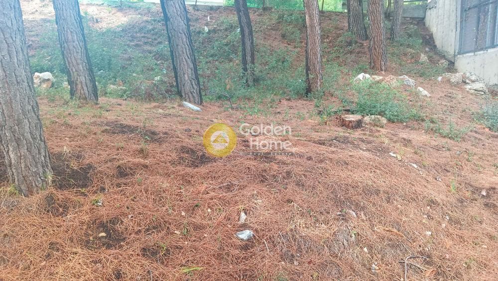 Building Plot in Megala Sxoinia A, Acharnes — Photo 36 of 38