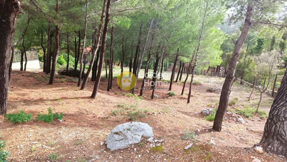 Building Plot in Megala Sxoinia A, Acharnes — Photo 37 of 38