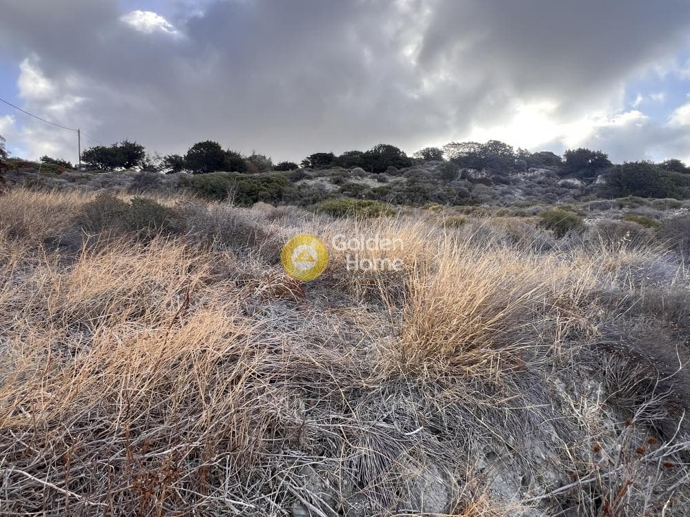 Αγροτεμάχιο στην Καμάρι, Πάρος — Φωτογραφία 4 από 5
