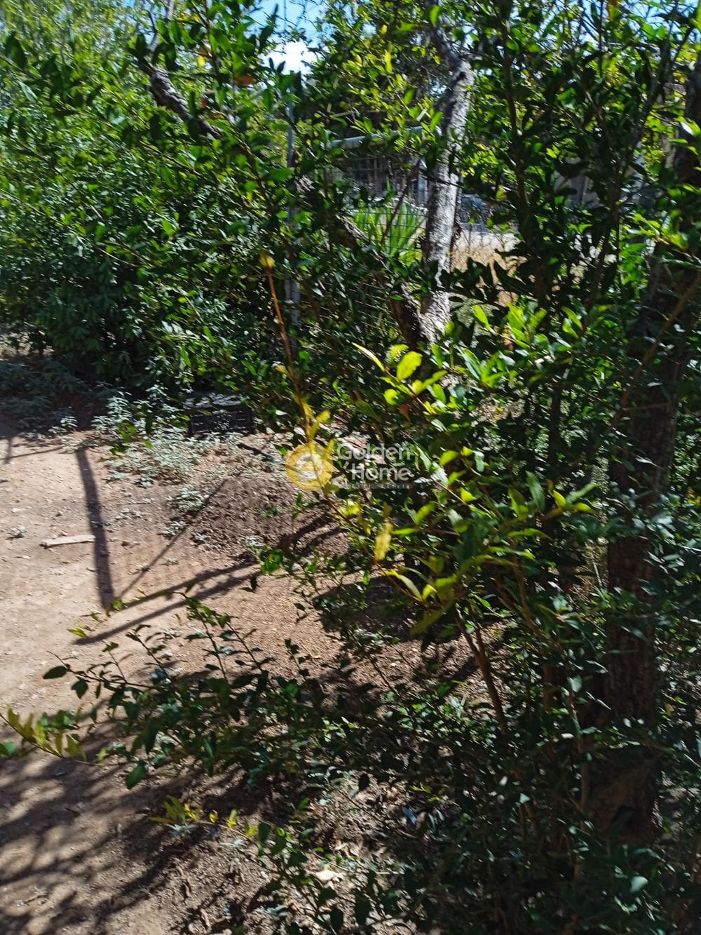 Αγροτεμάχιο στην Ανάβυσσος Κέντρο, Ανάβυσσος — Φωτογραφία 2 από 2