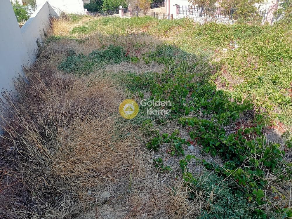 Οικόπεδο στην Βούτες, Τέμενος