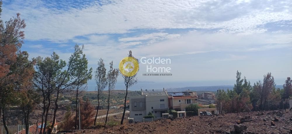 Building Plot in Ntaou Penteli, Pikermi — Photo 2 of 2