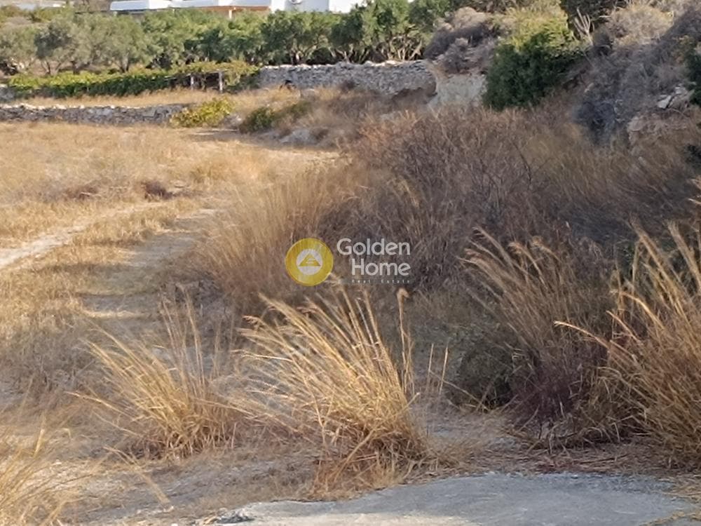 Οικόπεδο στην Αλυκή, Πάρος — Φωτογραφία 12 από 15