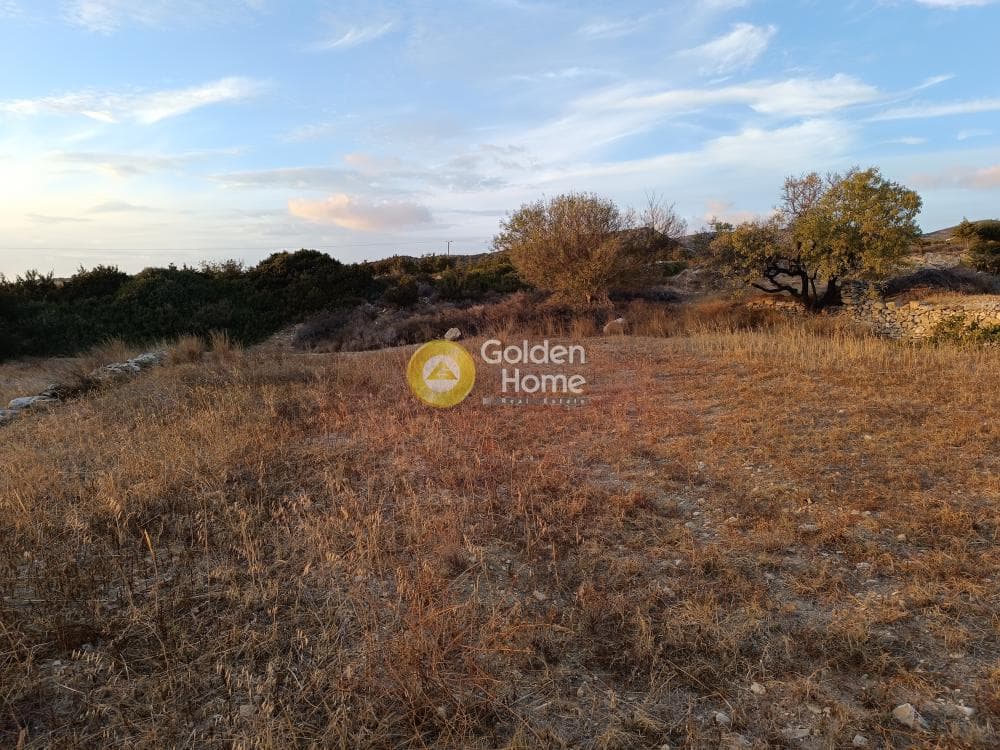 Οικόπεδο στην Αλυκή, Πάρος — Φωτογραφία 13 από 15