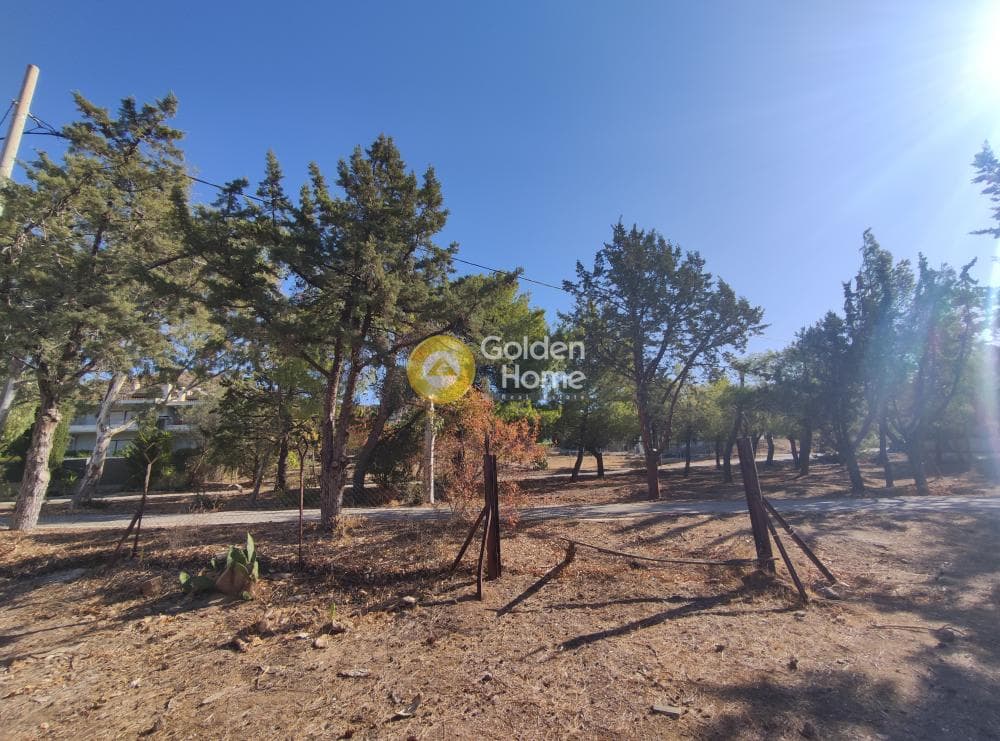 Οικόπεδο στην ΑΤΕ, Ανάβυσσος — Φωτογραφία 5 από 7