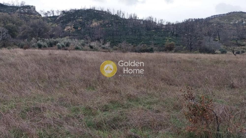 Οικόπεδο στην Κοκκινόβραχος, Αφίδνες — Φωτογραφία 4 από 8