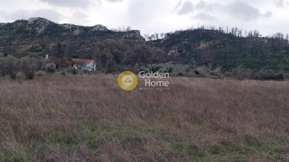 Οικόπεδο στην Κοκκινόβραχος, Αφίδνες — Φωτογραφία 1 από 8