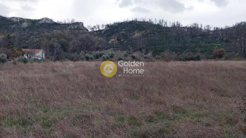 Οικόπεδο στην Κοκκινόβραχος, Αφίδνες — Φωτογραφία 6 από 8
