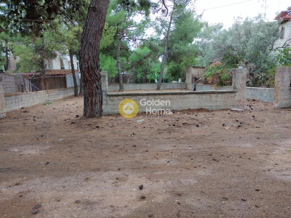Parcel in Megala Sxoinia A, Acharnes — Photo 1 of 8