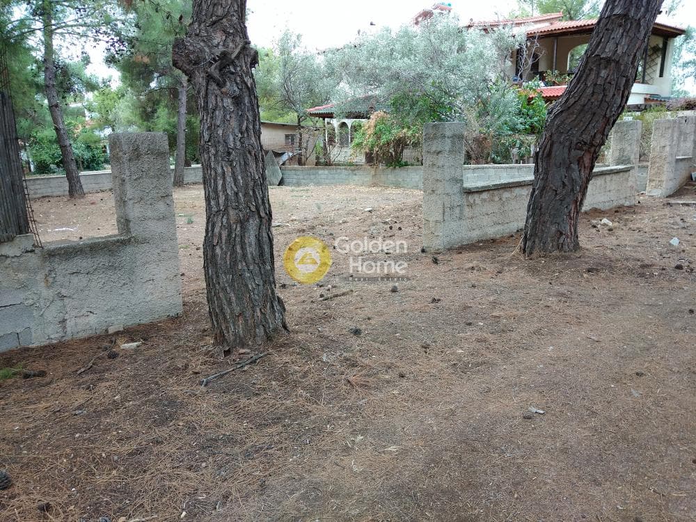 Parcel in Megala Sxoinia A, Acharnes — Photo 2 of 8