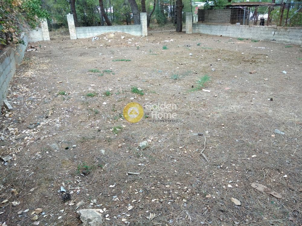 Parcel in Megala Sxoinia A, Acharnes — Photo 5 of 8