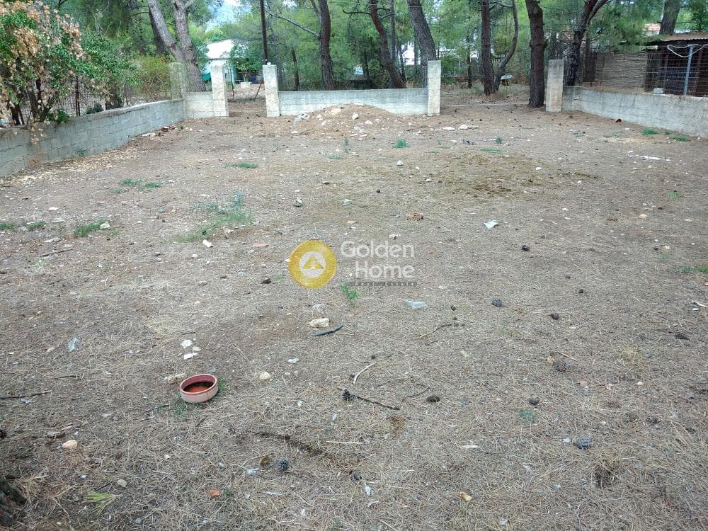 Parcel in Megala Sxoinia A, Acharnes — Photo 6 of 8